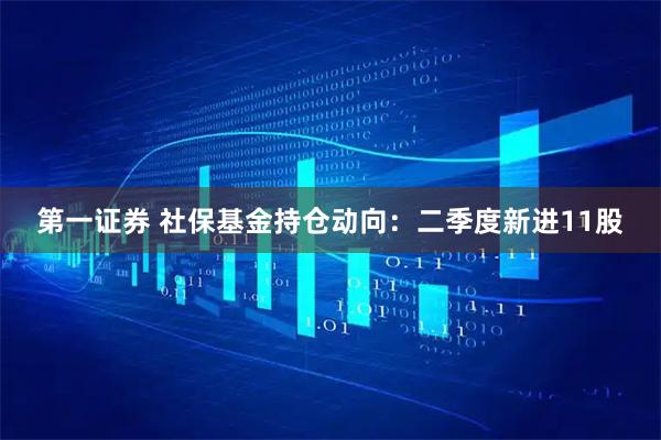 第一证券 社保基金持仓动向:二季度新进11股
