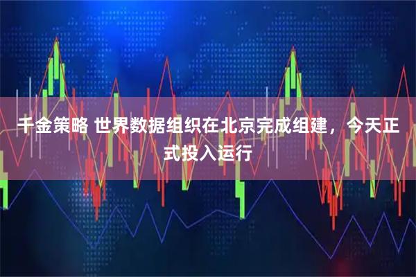 千金策略 世界数据组织在北京完成组建，今天正式投入运行